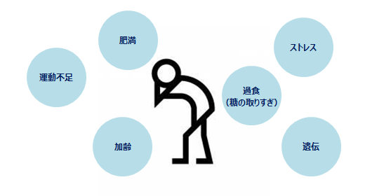 高血糖の原因は、ストレスや過食、遺伝、肥満、加齢、運動不足など